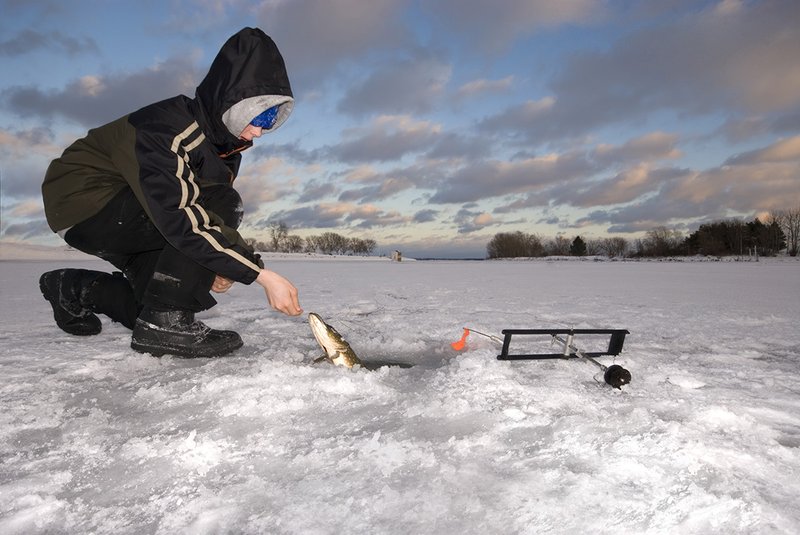 Experience the Thrill of Ice Fishing at Live Casinos in the UK in United Kigdom